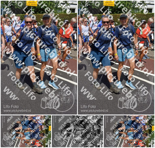 Evenement foto: Nijmeegse Vierdaagse 463