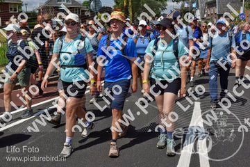 Evenement foto: Nijmeegse Vierdaagse 463