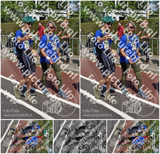 Evenement foto: Nijmeegse Vierdaagse 463
