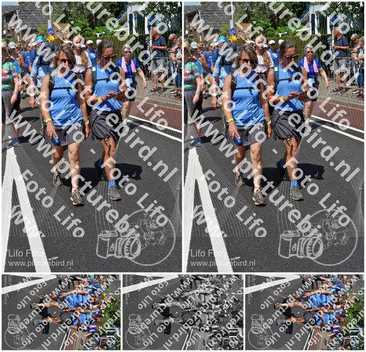 Evenement foto: Nijmeegse Vierdaagse 463