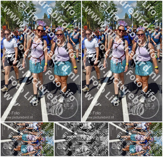 Evenement foto: Nijmeegse Vierdaagse 463