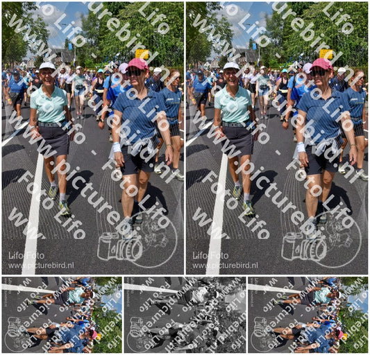 Evenement foto: Nijmeegse Vierdaagse 463