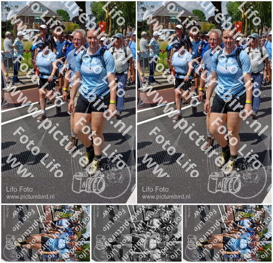 Evenement foto: Nijmeegse Vierdaagse 463