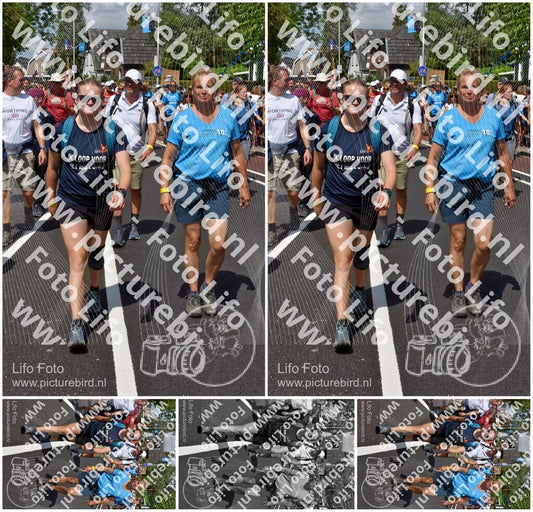 Evenement foto: Nijmeegse Vierdaagse 462