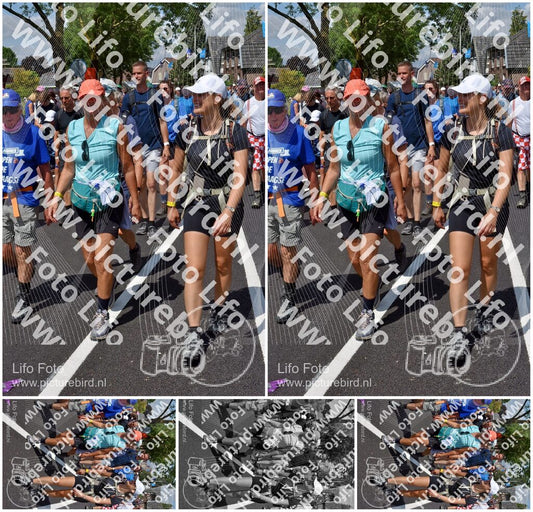Evenement foto: Nijmeegse Vierdaagse 462