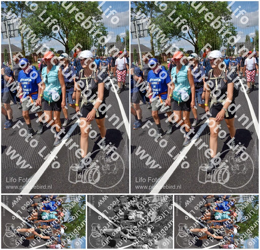 Evenement foto: Nijmeegse Vierdaagse 462