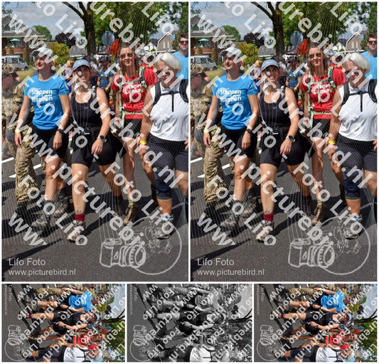 Evenement foto: Nijmeegse Vierdaagse 462