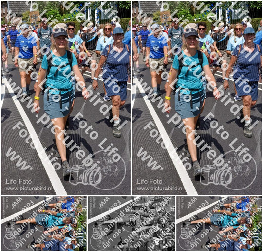 Evenement foto: Nijmeegse Vierdaagse 462