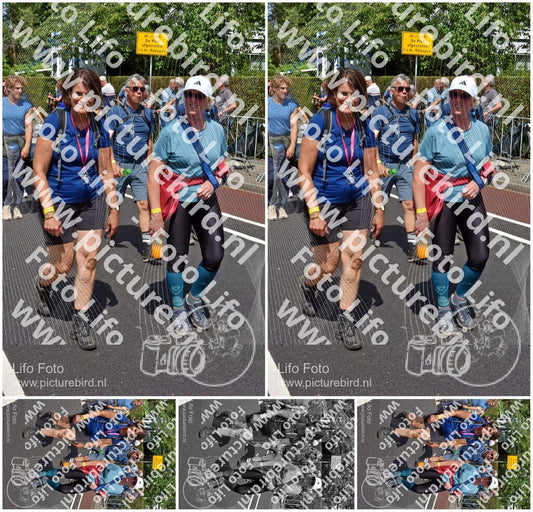 Evenement foto: Nijmeegse Vierdaagse 462