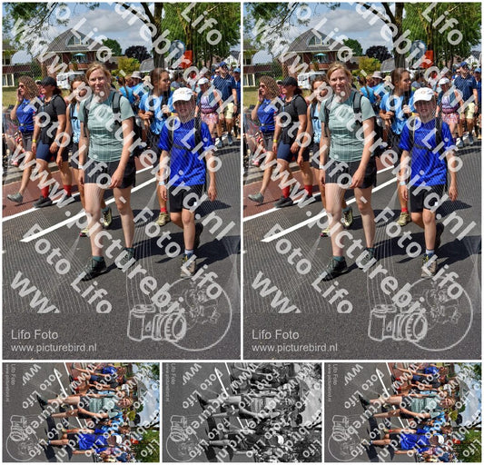 Evenement foto: Nijmeegse Vierdaagse 462