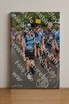 Evenement foto: Nijmeegse Vierdaagse 462