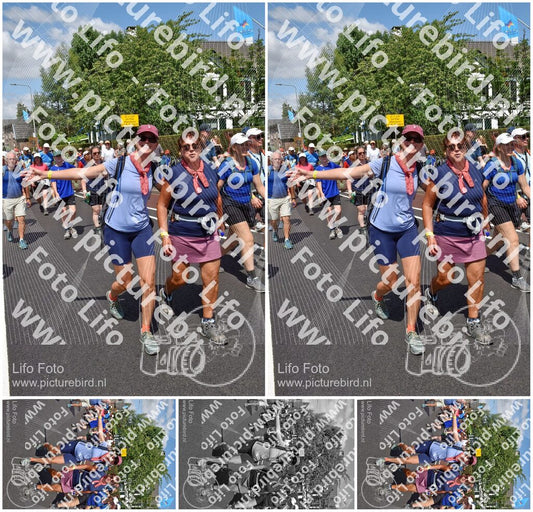 Evenement foto: Nijmeegse Vierdaagse 462