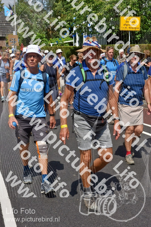 Evenement foto: Nijmeegse Vierdaagse 462