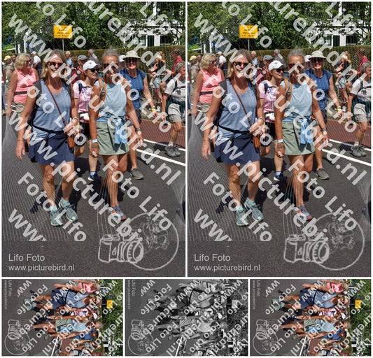 Evenement foto: Nijmeegse Vierdaagse 462