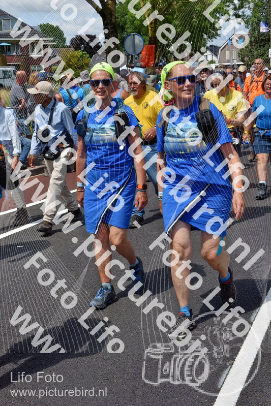Evenement foto: Nijmeegse Vierdaagse 462