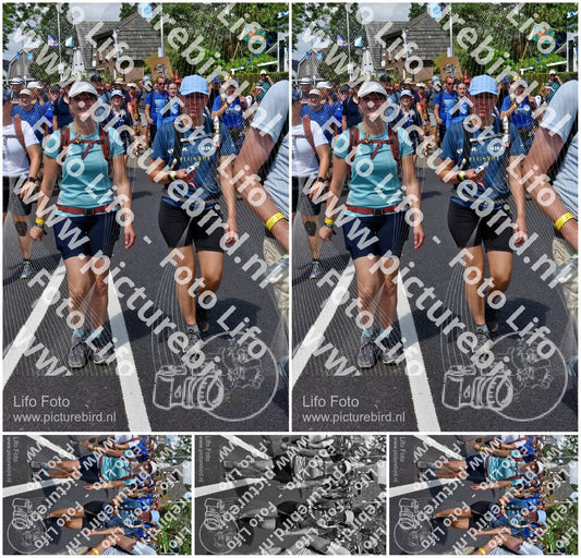 Evenement foto: Nijmeegse Vierdaagse 462