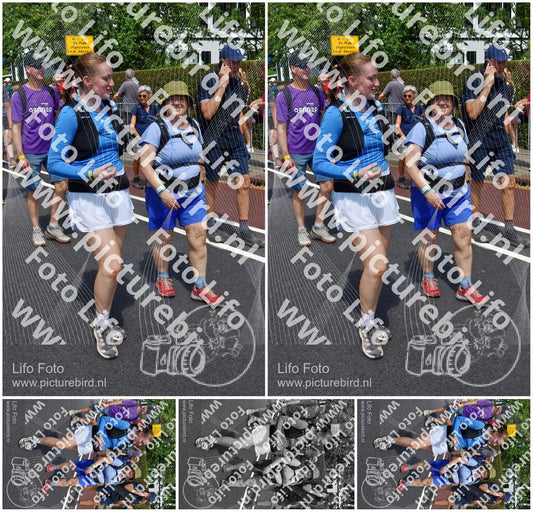 Evenement foto: Nijmeegse Vierdaagse 462