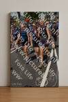 Evenement foto: Nijmeegse Vierdaagse 462