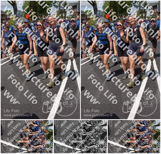 Evenement foto: Nijmeegse Vierdaagse 462