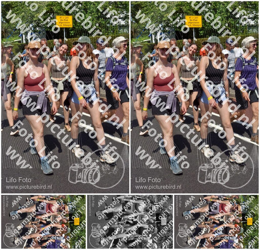 Evenement foto: Nijmeegse Vierdaagse 462