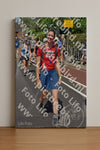 Evenement foto: Nijmeegse Vierdaagse 462
