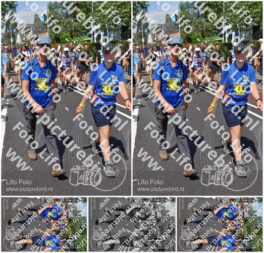 Evenement foto: Nijmeegse Vierdaagse 462