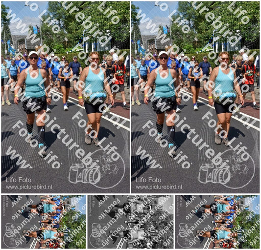 Evenement foto: Nijmeegse Vierdaagse 462