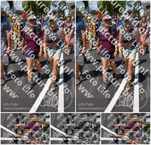 Evenement foto: Nijmeegse Vierdaagse 462