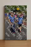 Evenement foto: Nijmeegse Vierdaagse 462