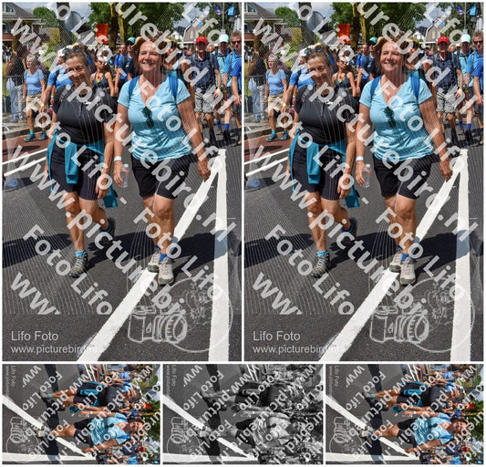 Evenement foto: Nijmeegse Vierdaagse 462