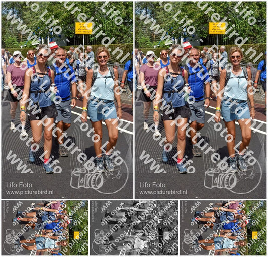Evenement foto: Nijmeegse Vierdaagse 461
