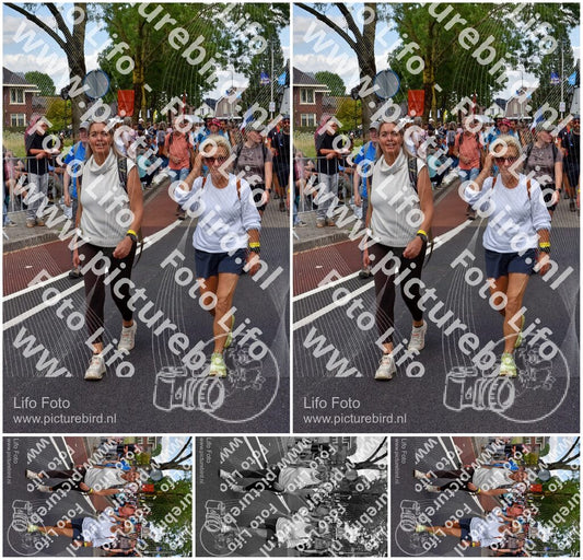 Evenement foto: Nijmeegse Vierdaagse 461