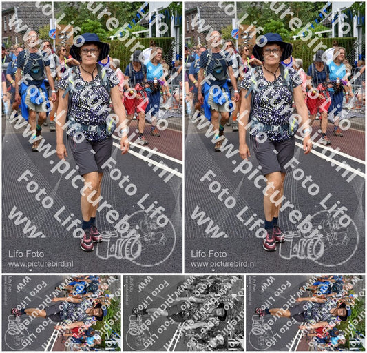 Evenement foto: Nijmeegse Vierdaagse 461