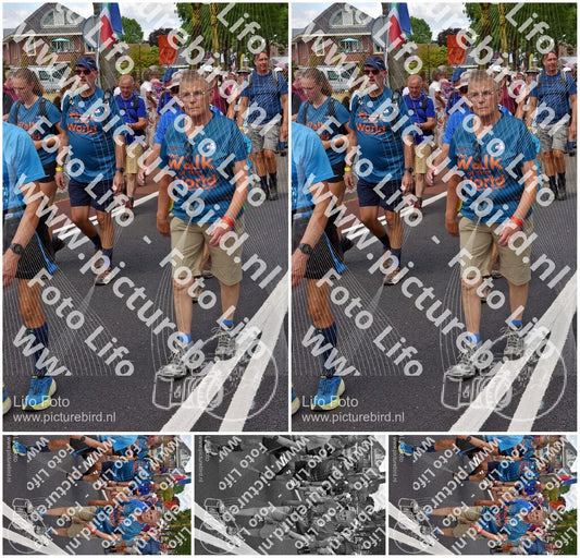 Evenement foto: Nijmeegse Vierdaagse 461