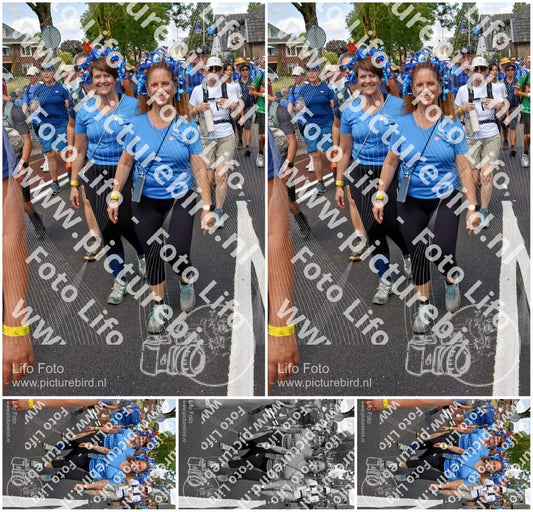 Evenement foto: Nijmeegse Vierdaagse 461