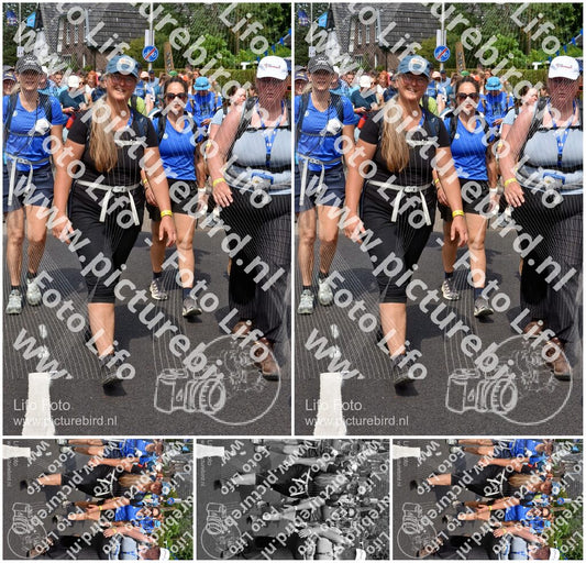 Evenement foto: Nijmeegse Vierdaagse 461