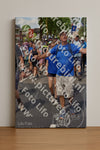 Evenement foto: Nijmeegse Vierdaagse 461
