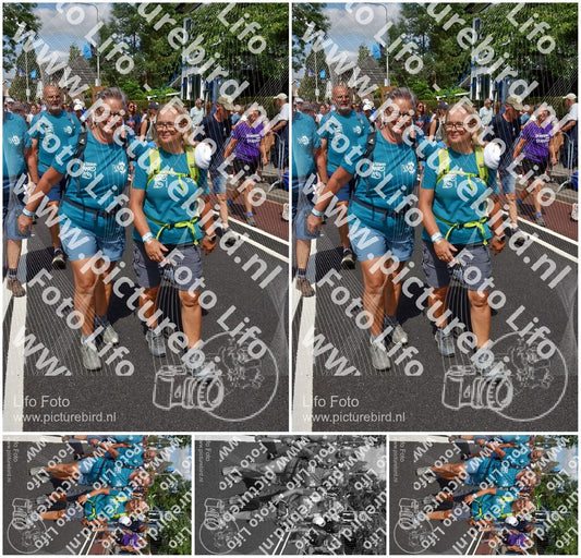 Evenement foto: Nijmeegse Vierdaagse 461