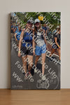 Evenement foto: Nijmeegse Vierdaagse 461