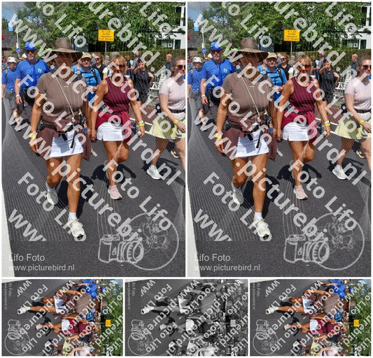 Evenement foto: Nijmeegse Vierdaagse 461