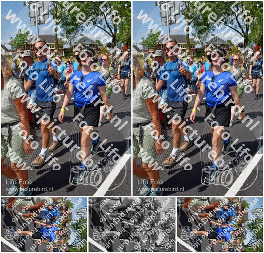 Evenement foto: Nijmeegse Vierdaagse 461