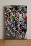 Evenement foto: Nijmeegse Vierdaagse 461