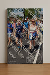 Evenement foto: Nijmeegse Vierdaagse 461