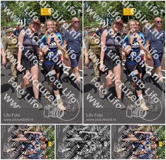 Evenement foto: Nijmeegse Vierdaagse 461