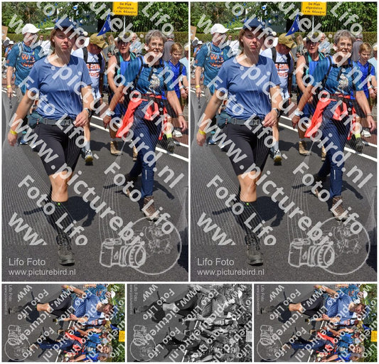 Evenement foto: Nijmeegse Vierdaagse 461