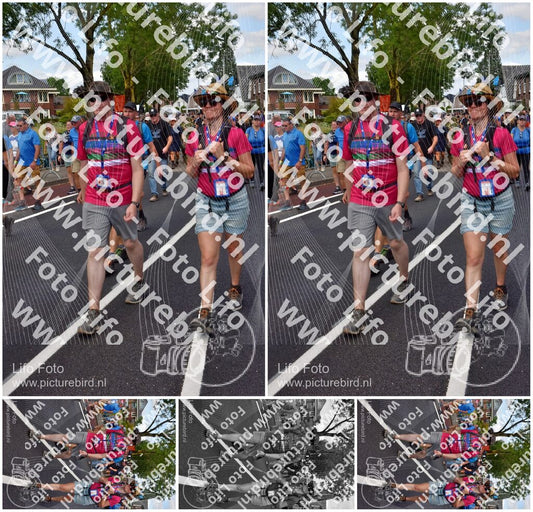 Evenement foto: Nijmeegse Vierdaagse 460