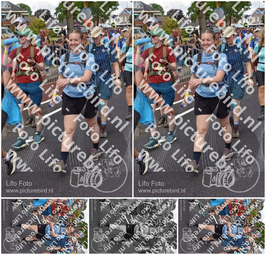 Evenement foto: Nijmeegse Vierdaagse 460