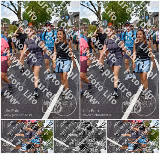 Evenement foto: Nijmeegse Vierdaagse 460
