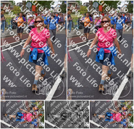 Evenement foto: Nijmeegse Vierdaagse 460