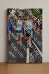 Evenement foto: Nijmeegse Vierdaagse 460
